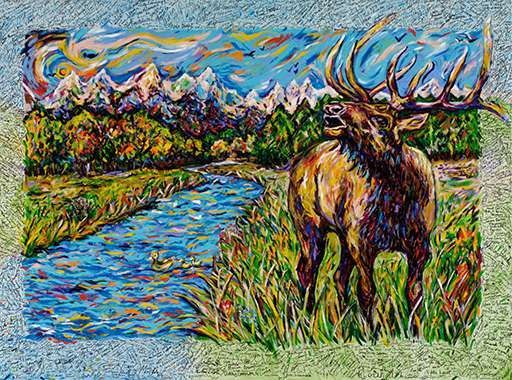 Autumn Elk