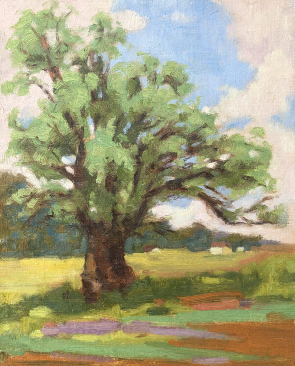 Oil painting by Kelly Sullivan depicting a strong old tree with a field of yellow flowers in the background.