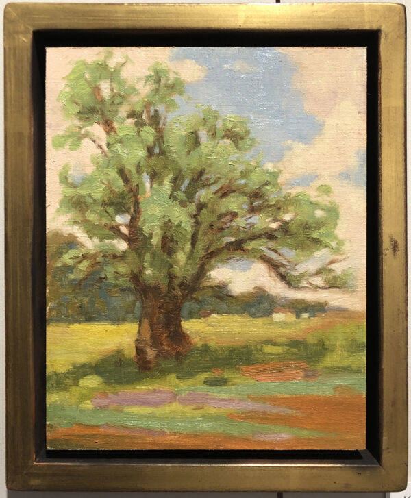Field of Yellows oil painting by Kelly Sullivan Framed